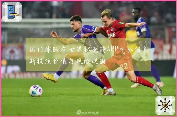热门球队在世界杯竞猜APP中如何判断投注价值与风险规避