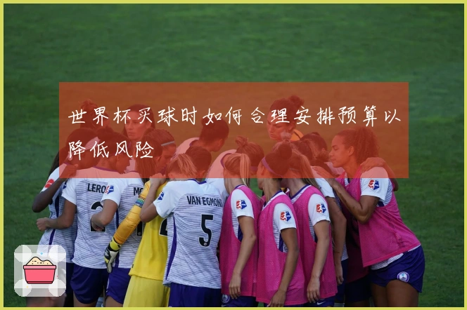 世界杯买球时如何合理安排预算以降低风险