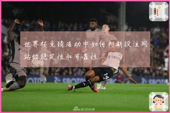 世界杯竞猜活动中如何判断投注网站的稳定性和可靠性