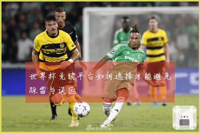 世界杯竞猜平台如何选择才能避免踩雷与误区