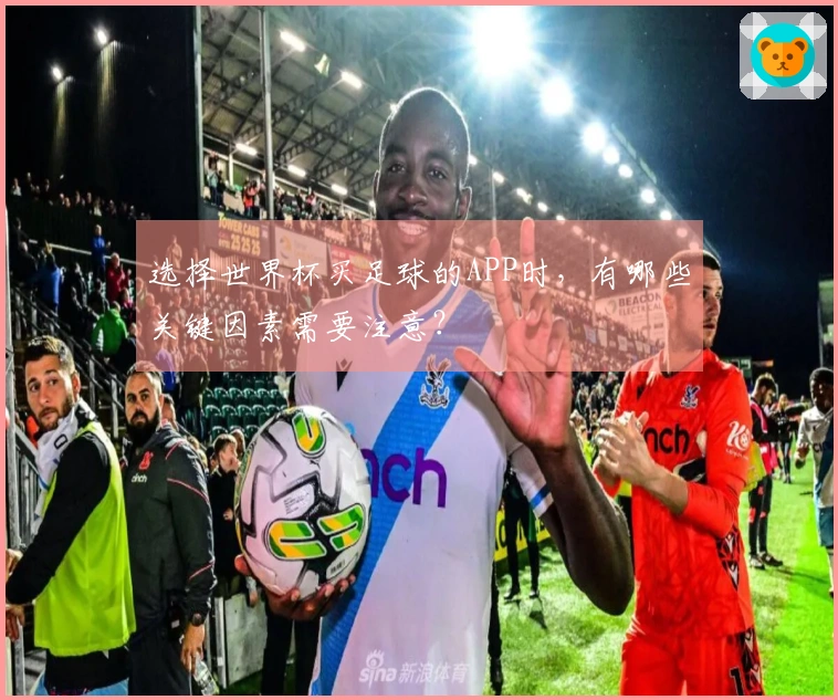 选择世界杯买足球的APP时，有哪些关键因素需要注意？