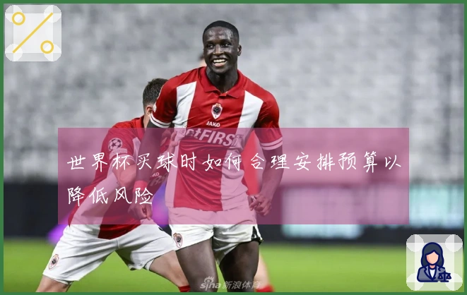 世界杯买球时如何合理安排预算以降低风险
