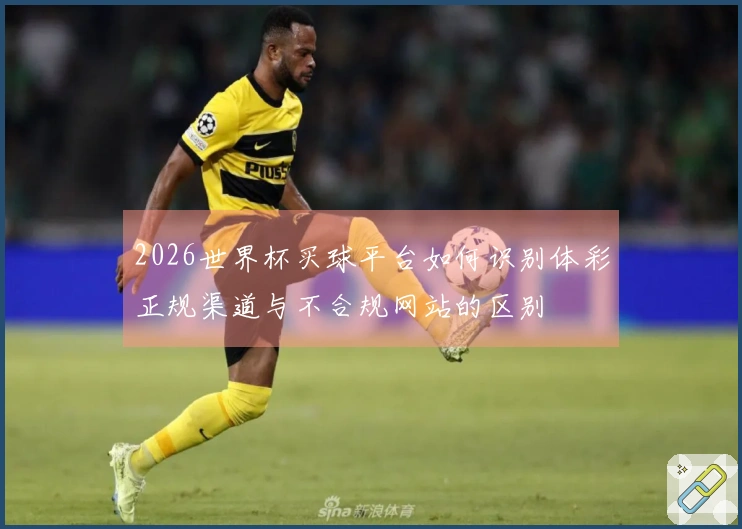 2026世界杯买球平台如何识别体彩正规渠道与不合规网站的区别