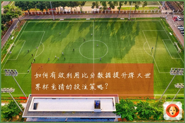 如何有效利用比分数据提升烽火世界杯竞猜的投注策略？