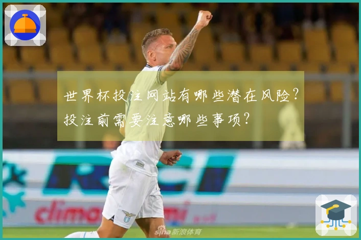 世界杯投注网站有哪些潜在风险？投注前需要注意哪些事项？