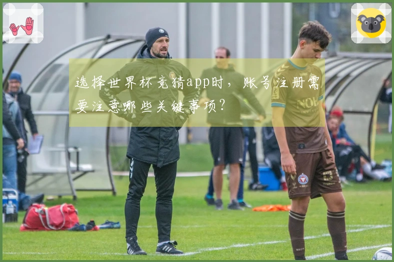 选择世界杯竞猜app时，账号注册需要注意哪些关键事项？