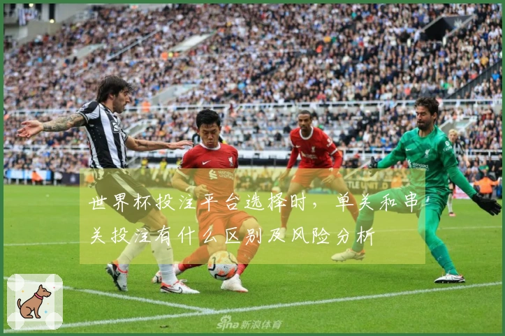 世界杯投注平台选择时，单关和串关投注有什么区别及风险分析
