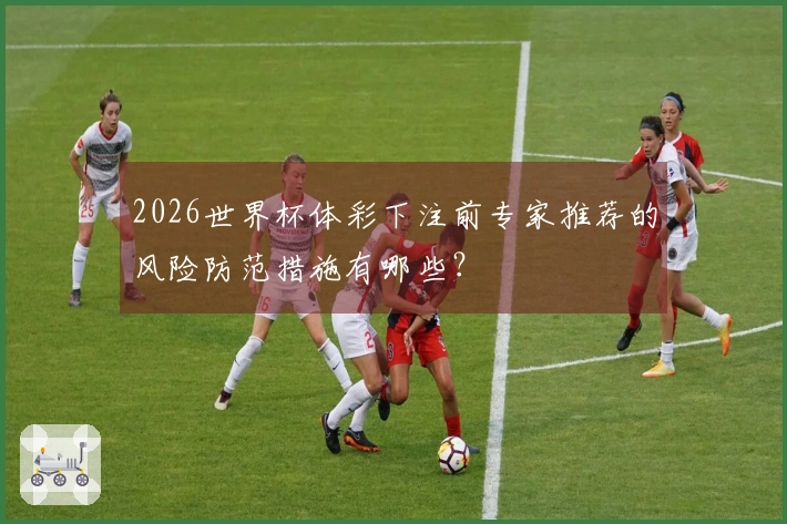 2026世界杯体彩下注前专家推荐的风险防范措施有哪些？