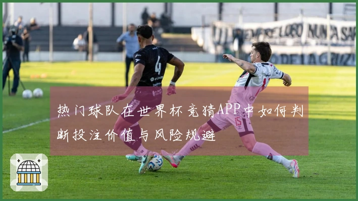 热门球队在世界杯竞猜APP中如何判断投注价值与风险规避