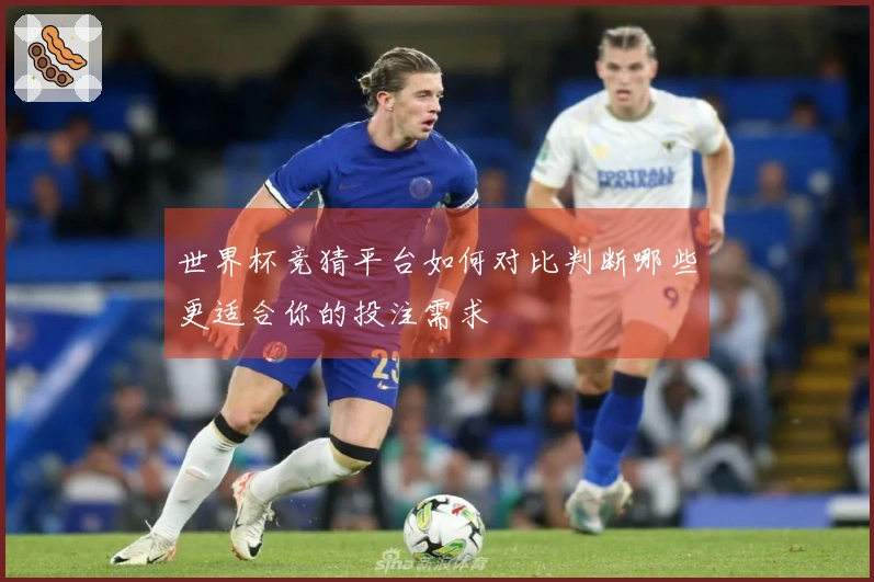 世界杯竞猜平台如何对比判断哪些更适合你的投注需求