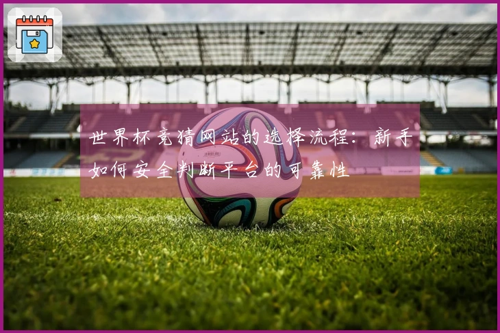 世界杯竞猜网站的选择流程：新手如何安全判断平台的可靠性