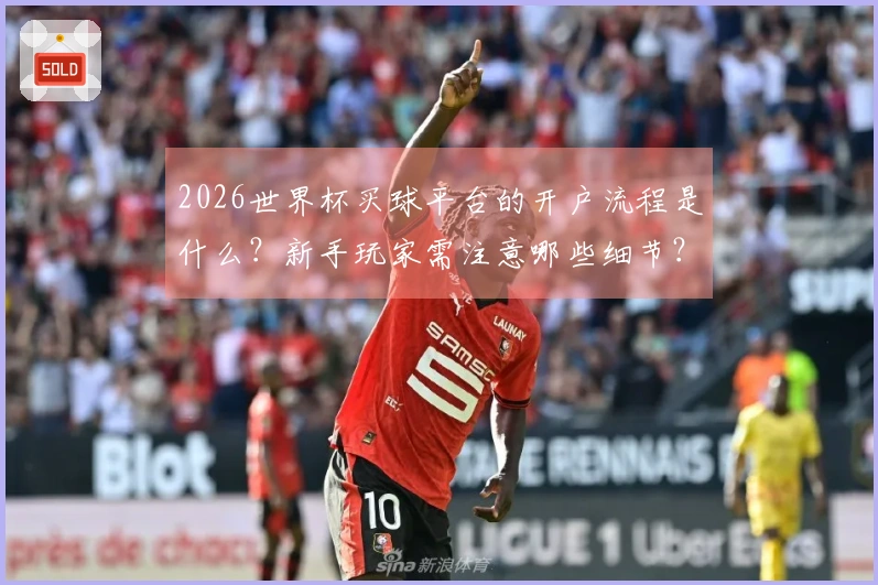 2026世界杯买球平台的开户流程是什么？新手玩家需注意哪些细节？