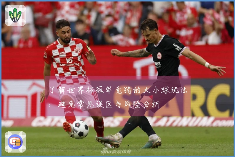 了解世界杯冠军竞猜的大小球玩法，避免常见误区与风险分析