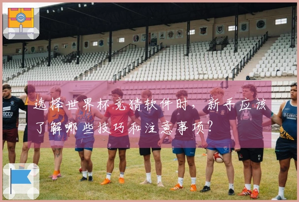 选择世界杯竞猜软件时，新手应该了解哪些技巧和注意事项？