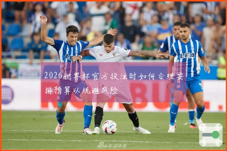 2026世界杯官方投注时如何合理安排预算以规避风险