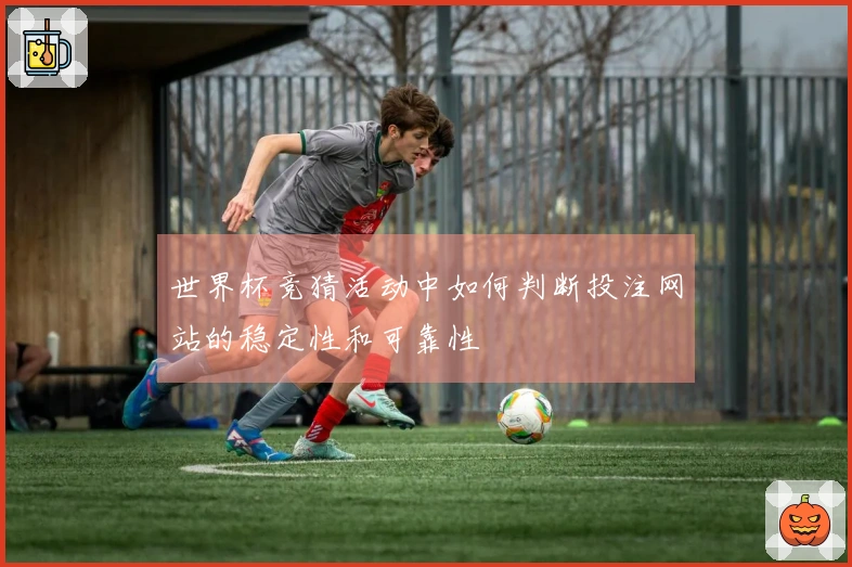 世界杯竞猜活动中如何判断投注网站的稳定性和可靠性