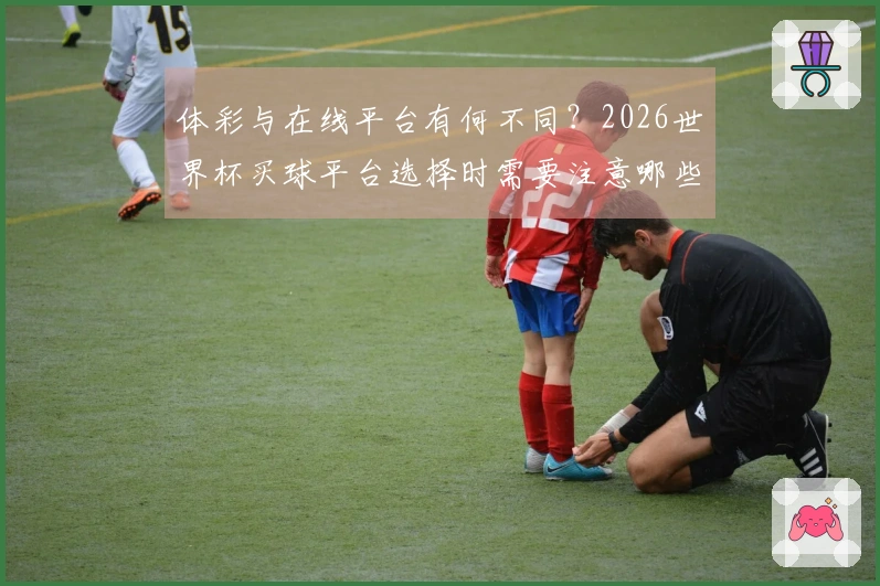 体彩与在线平台有何不同？2026世界杯买球平台选择时需要注意哪些细节？