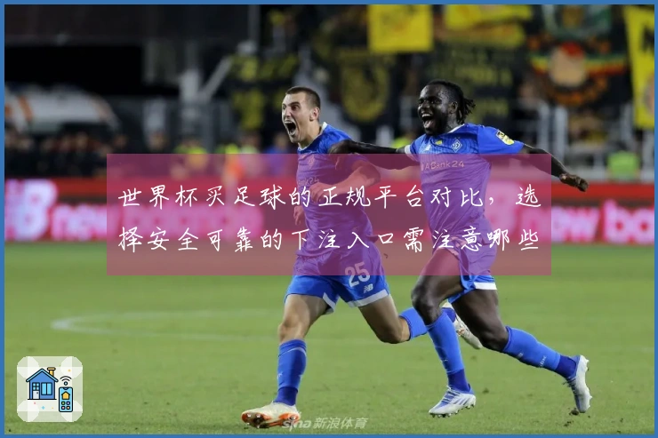 世界杯买足球的正规平台对比，选择安全可靠的下注入口需注意哪些细节？