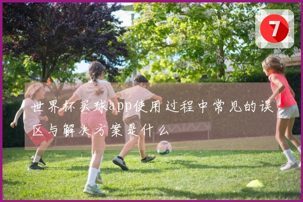 世界杯买球app使用过程中常见的误区与解决方案是什么