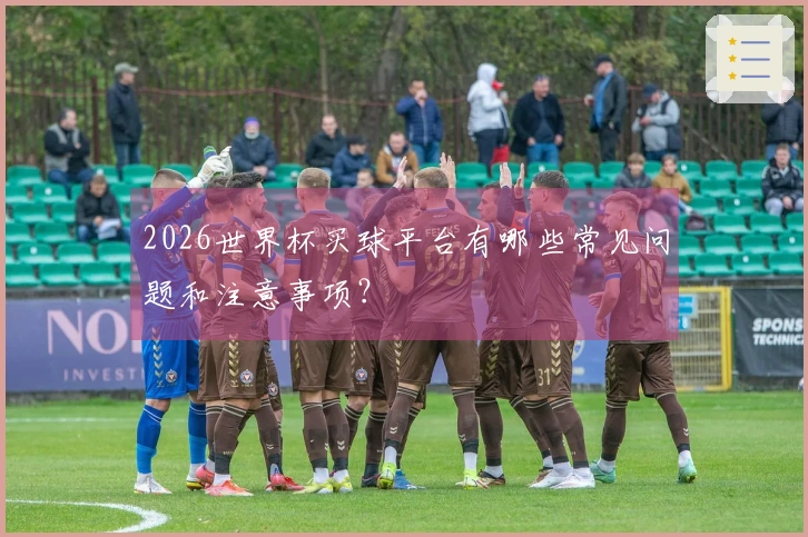 2026世界杯买球平台有哪些常见问题和注意事项？
