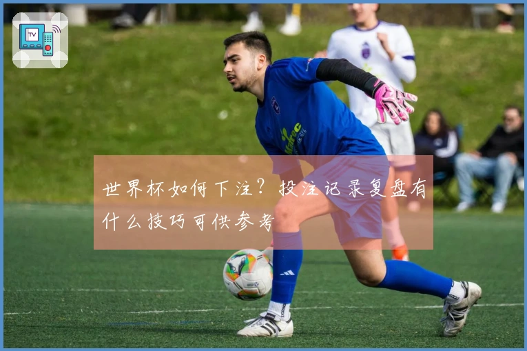 世界杯如何下注？投注记录复盘有什么技巧可供参考