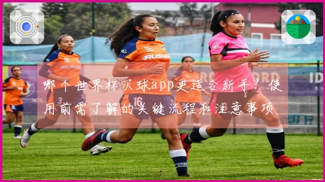 哪个世界杯买球app更适合新手？使用前需了解的关键流程和注意事项