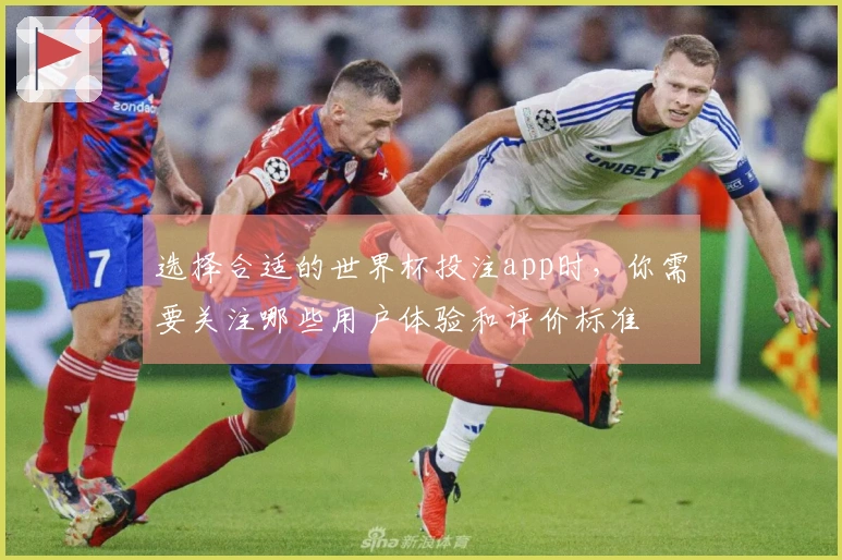 选择合适的世界杯投注app时，你需要关注哪些用户体验和评价标准