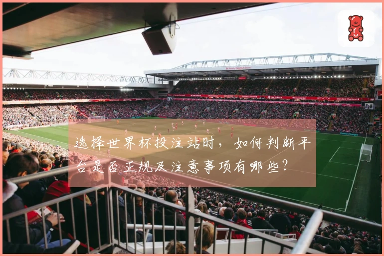 选择世界杯投注站时，如何判断平台是否正规及注意事项有哪些？