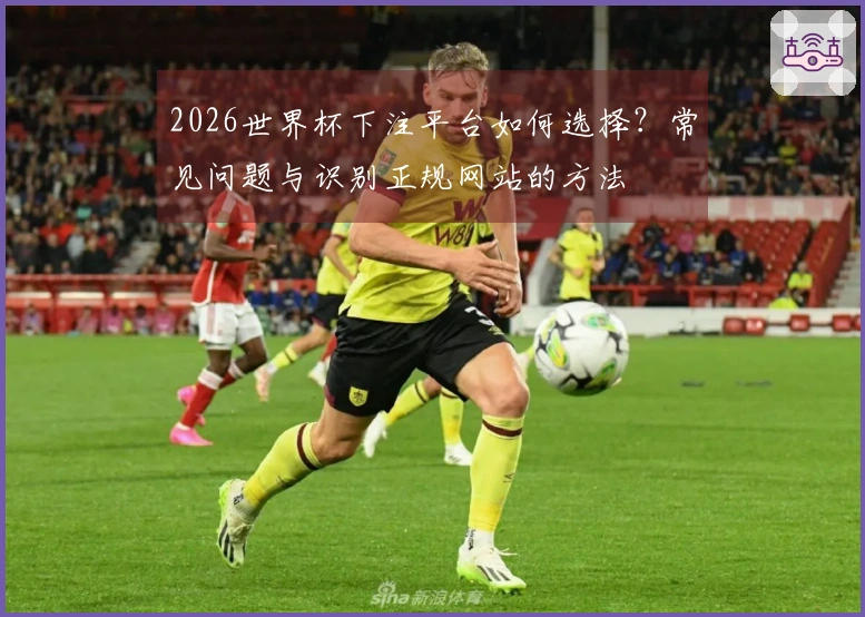 2026世界杯下注平台如何选择？常见问题与识别正规网站的方法