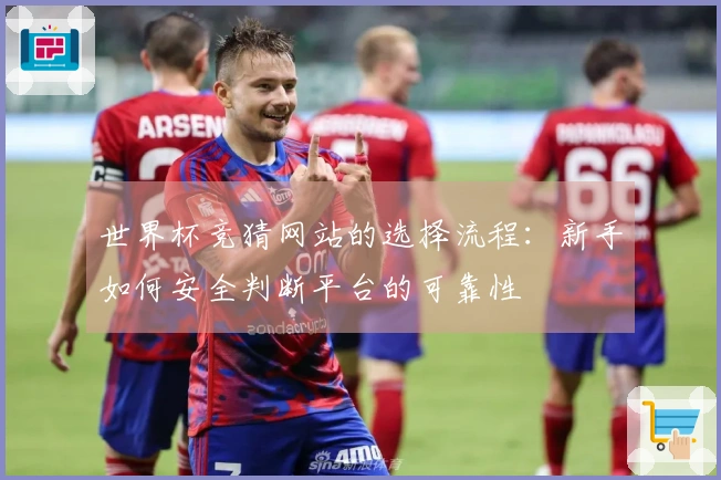 世界杯竞猜网站的选择流程：新手如何安全判断平台的可靠性
