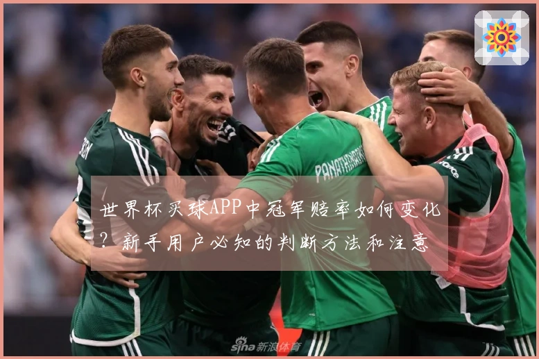 世界杯买球APP中冠军赔率如何变化？新手用户必知的判断方法和注意事项