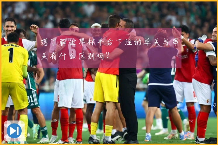 想了解世界杯平台下注的单关与串关有什么区别吗？
