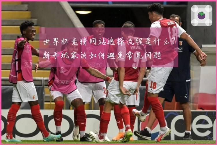 世界杯竞猜网站选择流程是什么？新手玩家该如何避免常见问题