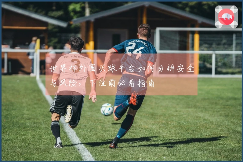世界杯外围买球平台如何分辨安全与风险，下注前必看指南