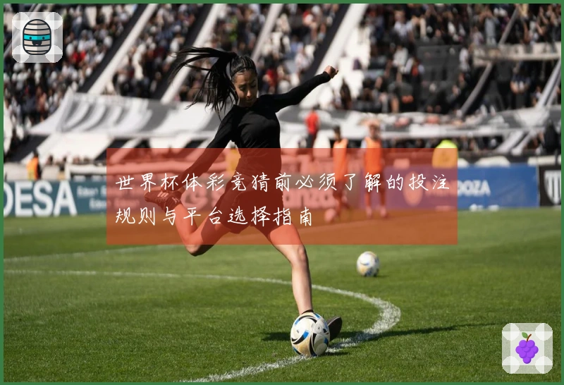 世界杯体彩竞猜前必须了解的投注规则与平台选择指南