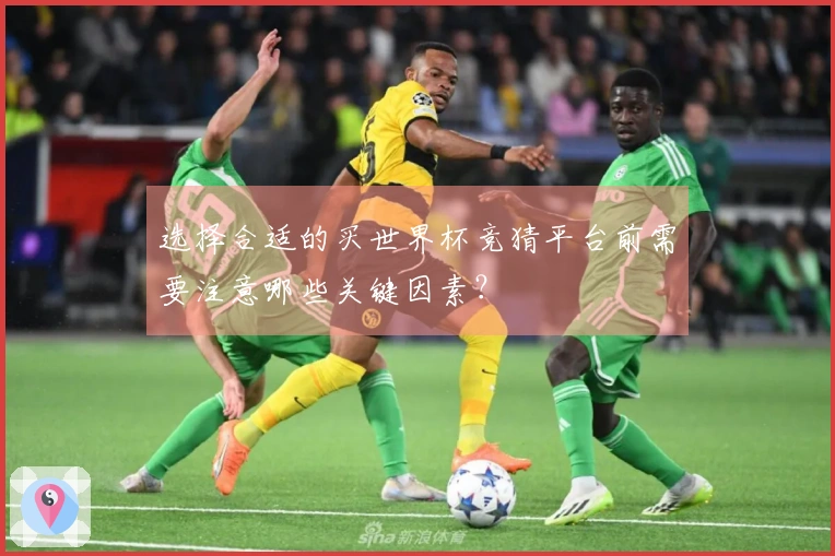 选择合适的买世界杯竞猜平台前需要注意哪些关键因素？