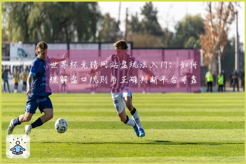 世界杯竞猜网站盘玩法入门：如何理解盘口规则与正确判断平台可靠性