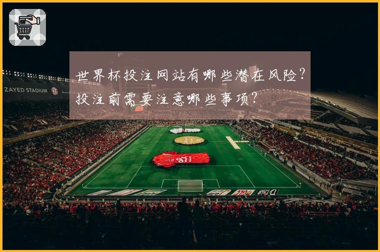 世界杯投注网站有哪些潜在风险？投注前需要注意哪些事项？