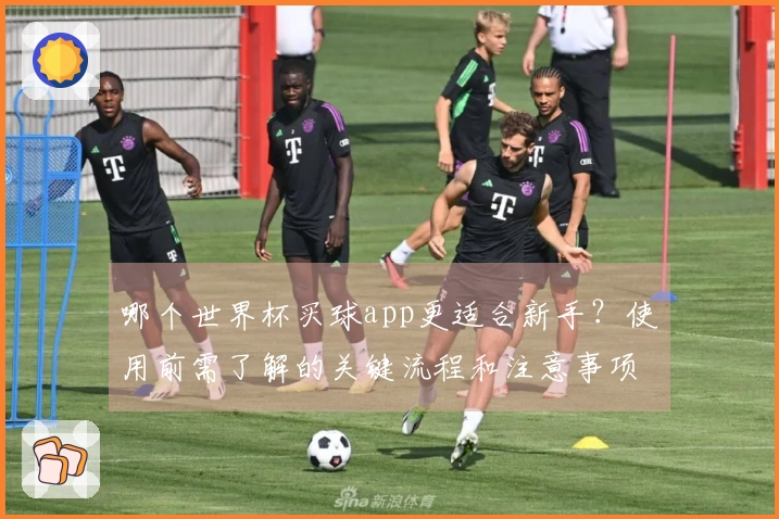哪个世界杯买球app更适合新手？使用前需了解的关键流程和注意事项