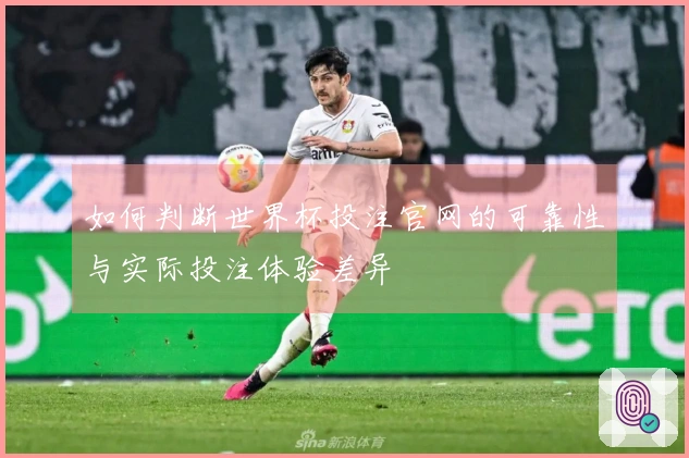 如何判断世界杯投注官网的可靠性与实际投注体验差异