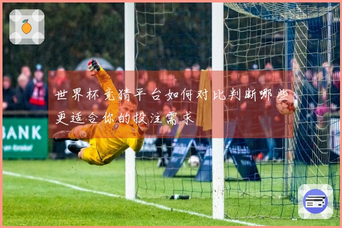 世界杯竞猜平台如何对比判断哪些更适合你的投注需求